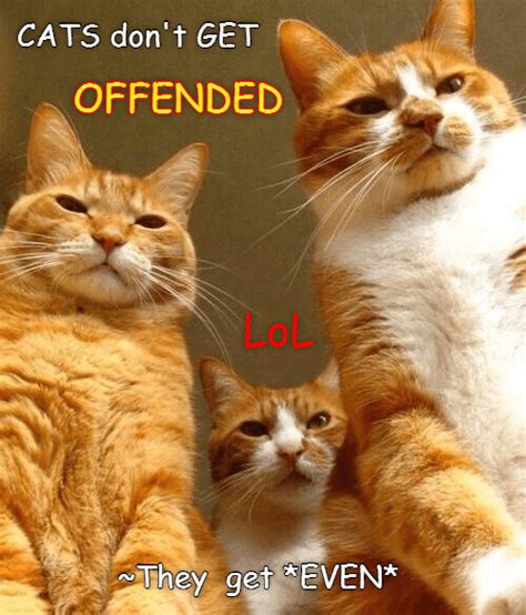 Ga ta, ga tos, russ. Cats Don't GET Offended . . - Lolcats - lol | cat memes ...