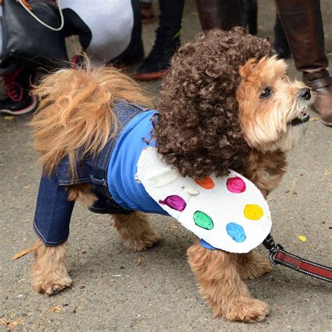 Bob Ross Dog Dogs In Halloween Costumes