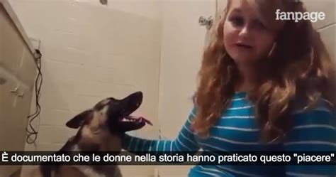 Signora Si Fa Scopare Dal Cane Donna Single Disperata Il Cane Non Mi Lascia Fare Sesso Quattro