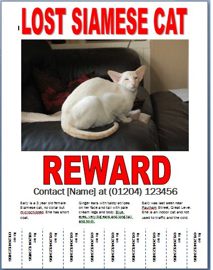 Free Missing Cat Poster Template Uk Printable Templates