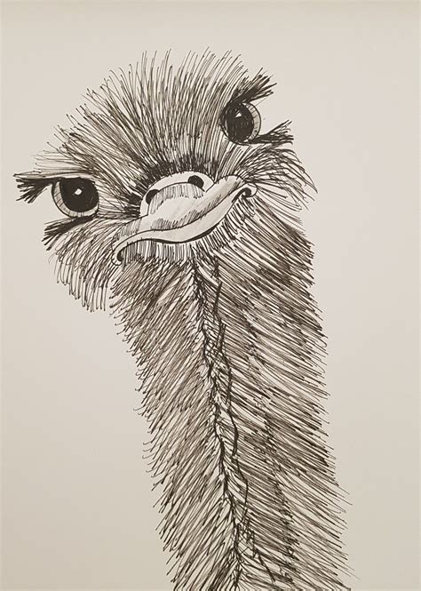 Cute Ostrich Pen Art Fun Funny Animal Bird Animal Sketches Easy Bird