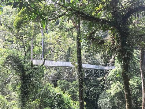 Tree top walk sungai sedim is the world's longest rainforest canopy walk. Tree Top Walk Sungai Sedim , Canopy Walk terpanjang di ...