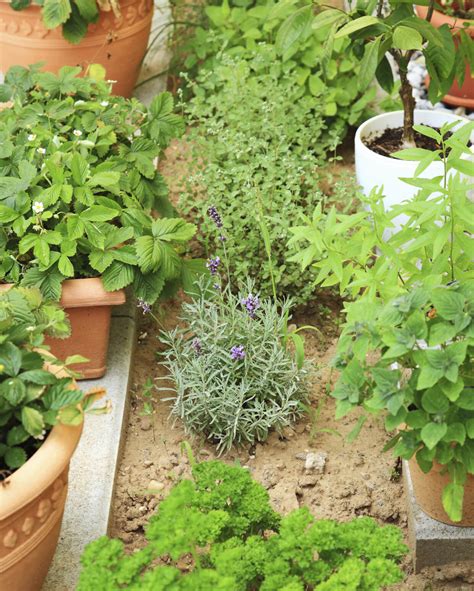 Such designs are typical for a potager garden and you can choose and arrange the herbs as per their rosemary is a beautiful bush and another natural deterrent for pests like mosquitoes and other flying insects. Best 20+ Herb Garden Design 2017 - AllstateLogHomes.com