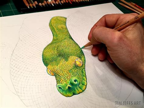 Starting A Drawing Of A Green Tree Python Next Prints Of