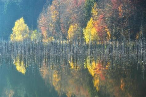 Autumn Colorful Trees Reflected In Lake During Fall Autumn Forest