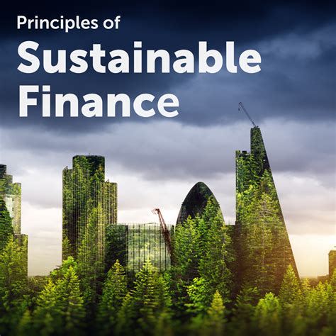 100 Off Principles Of Sustainable Finance