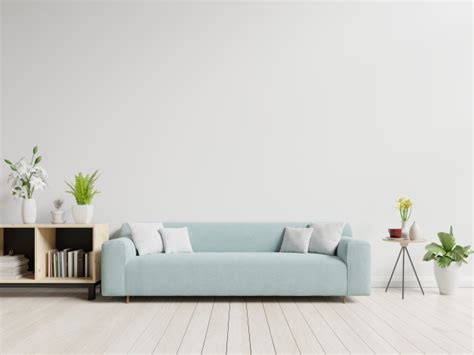 Premium Photo Empty Living Room With Blue Sofa Plants