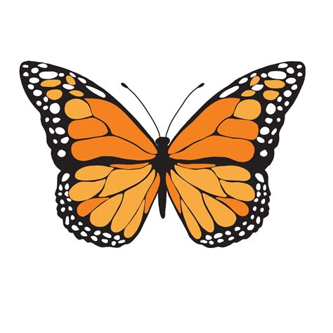 butterfly sticker | Orange and black butterfly, Orange butterfly, Butterfly decal