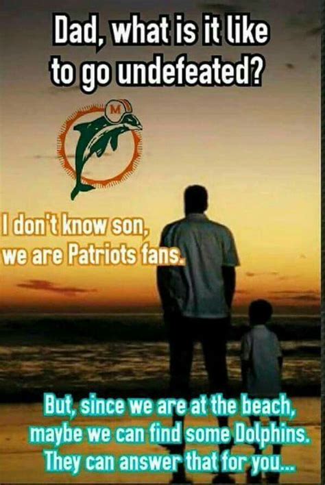 Undefeated Undefeated Dolphins Patriots Fans