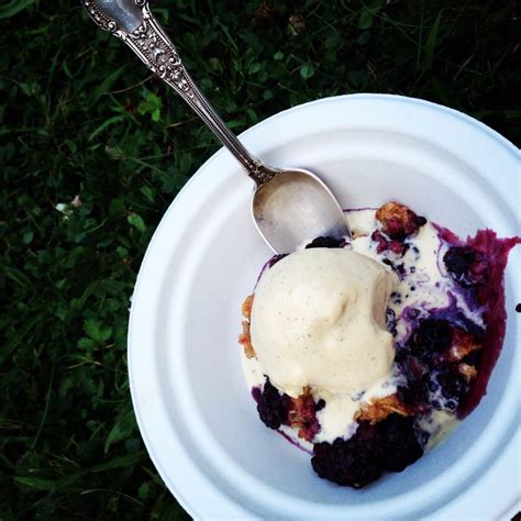 Homemade Stevia Sweetened Ice Cream Shannon Mccarthy