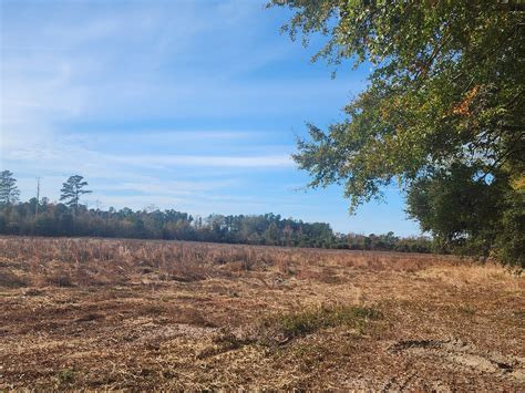 Expansive 59.7+/- Acres Located in Fairmont, NC