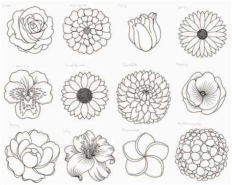 How To Draw A Flower