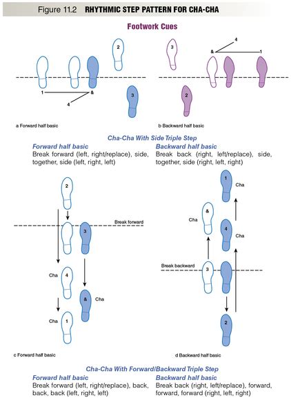 Diagram Diagram Of Cha Cha Steps Mydiagramonline