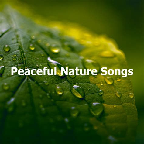 Peaceful Nature Songs Album By Peaceful Nature Music Spotify
