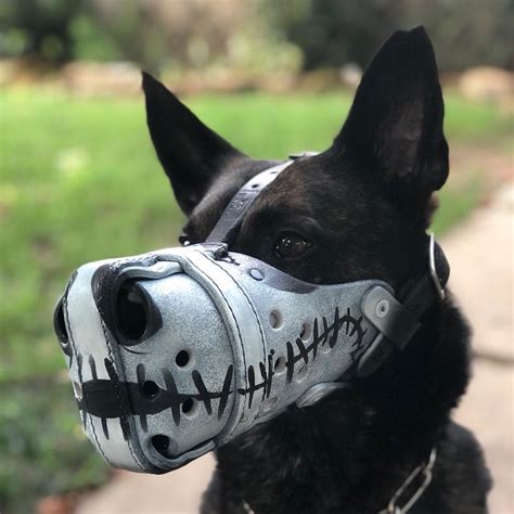 Custom Painted Muzzle Working Dog Dry Goods