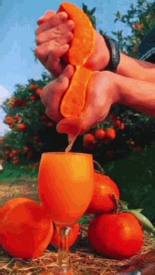 Orange Orange Juice Gif Orange Orange Juice Freshly Squeezed