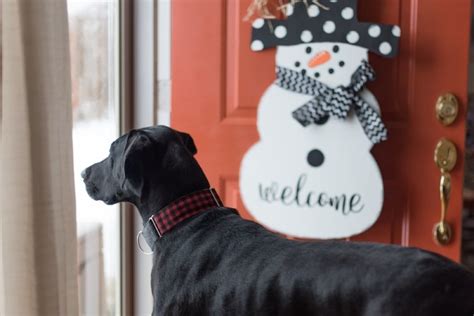 Dogs are a real member of the family if you have one as a pet. Personalized Door Hangers and How to Hang Them - The ...
