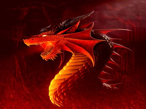 Cool Dragon Hd Wallpaper Backgrounds Free Download Pixelstalknet