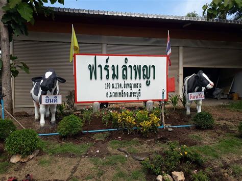 ฟาร์มลำพญา จำหน่ายขี้วัวนม อำเภอมวกเหล็ก จังหวัดสระบุรี - Reviews | Facebook