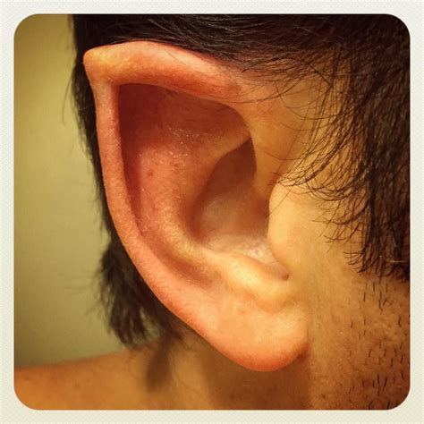Come catch me while you can! Werewolf Ears Transformation Pointed Elf Body ...