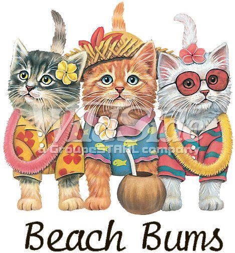 Hawaiian Cats Beach Bums Youth Stock Transfer Cute Cats Cat Drawing