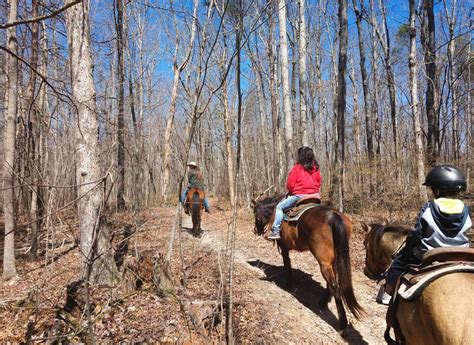 Shady Grove Dude Ranch Best Horseback Riding In Mentone Alabama