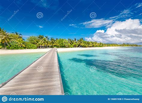 Beautiful Tropical Maldives Resort Hotel Island With Beach And Sea Sand