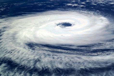 Cyclone Tauktae Heavy Rains Gusty Winds Claim 6 Lives In Ktaka The
