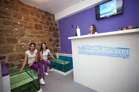 Mediteraneum Massage And Fish Spa Split Croatia Updated 2018 All You