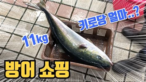 백경현 구리시장 경기 북부 테크노벨리 2차 유치 신청 기자 회견. 대방어 사러 갑니다 - 수산시장 (방어 가격은?) - YouTube