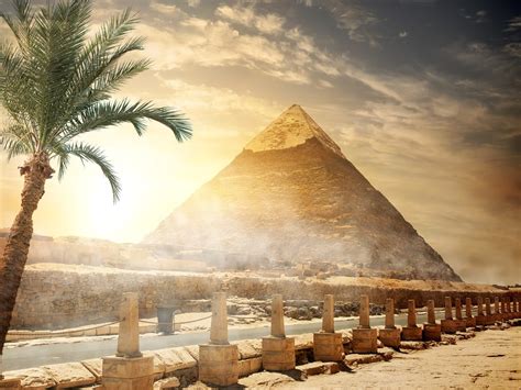 Egito pirâmide cerca árvores 1242x2688 iPhone 11 Pro XS Max Papéis