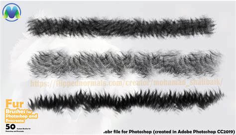 50 Fur Brushes For Photoshop And Procreate FlippedNormals