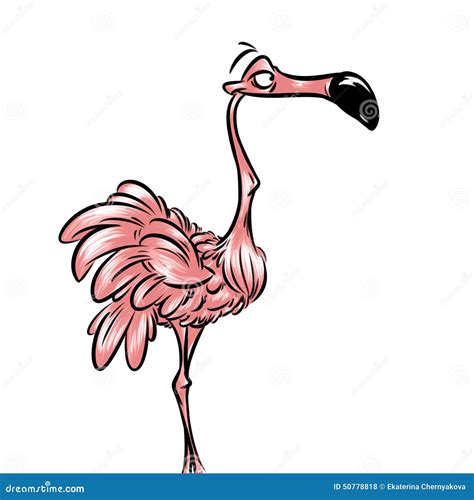 Pink Flamingo Funny Stock Illustration Illustration Of Beautiful