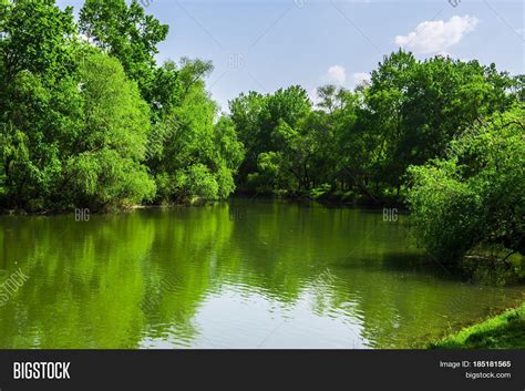 Forest River May Image And Photo Free Trial Bigstock