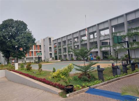 Sdn School