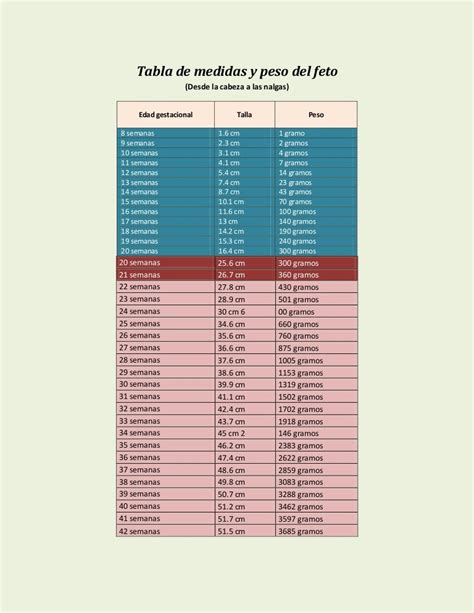 Tabla De Medidas Y Peso Del Feto