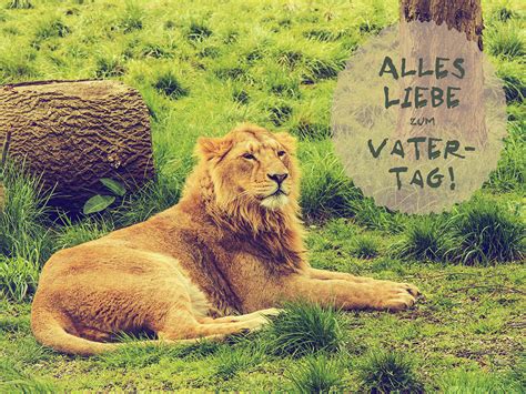 Der vatertag (auch männertag, herrentag) ist ein in einigen regionen zu unterschiedlichen terminen begangener tag zu ehren der väter. Alles Liebe zum Vatertag 105