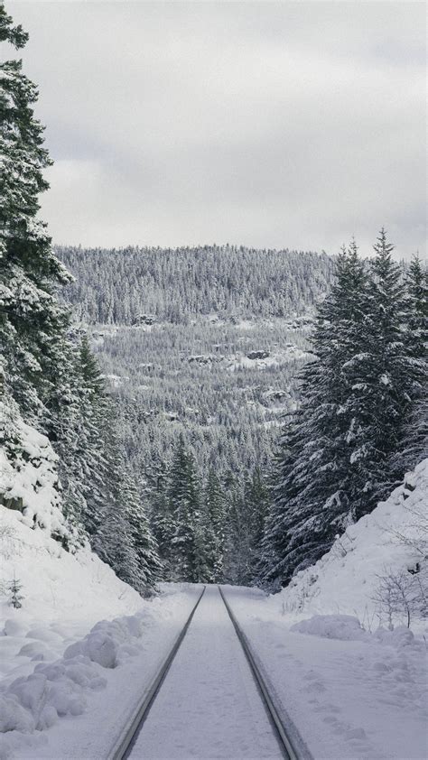 Download Wallpaper 2160x3840 Path Forest Winter Mountains Samsung