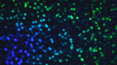 Beautiful vector, photo and png textures. Blue & Green Bokeh Magic Sparkles HD Background - YouTube