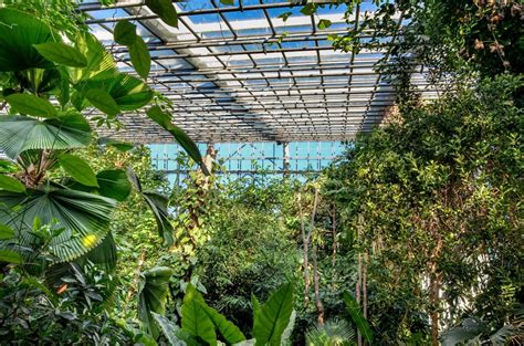 Der jährliche besuch des botanischen gartens ist ein muss! wdf - wupper digitale fotografie - Botanischer Garten RUB ...