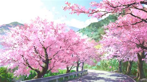 High Quality Wallpaper Anime Cherry Blossom Background Mural Wall