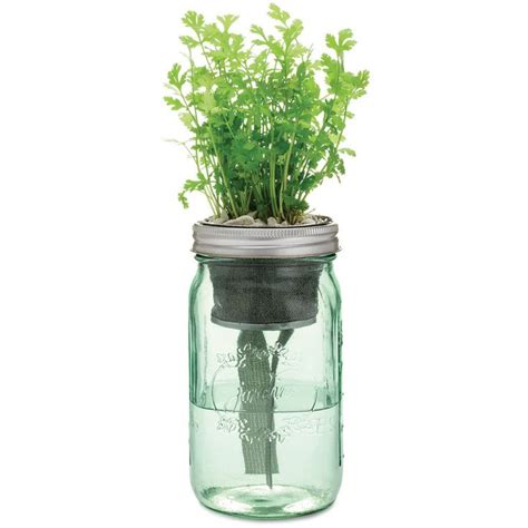 Self Watering Herbal Garden Jar Kits Indoor Herb Garden