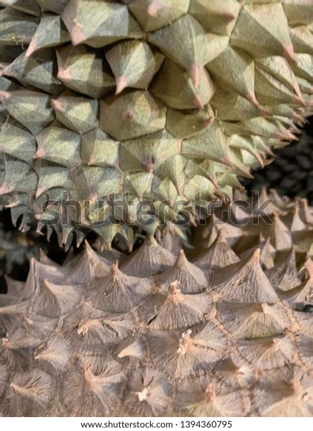 Background Texture Surface Durian Thorn Stock Photo 1394360795