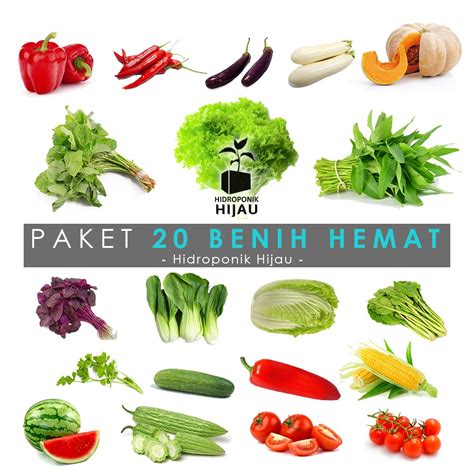 Sebut saja diabetes, kolesterol, hingga mencegah penyakit kanker. Paket Hemat Benih Eceran 20 Jenis Sayuran dan Buah Bonus ...