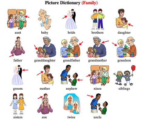 English Vocabulary: Family Members and Different Types of ...