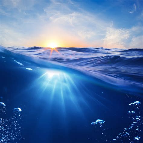 Download Sunrise Half Underwater Hd Wallpaper For Iphone 6 Plus