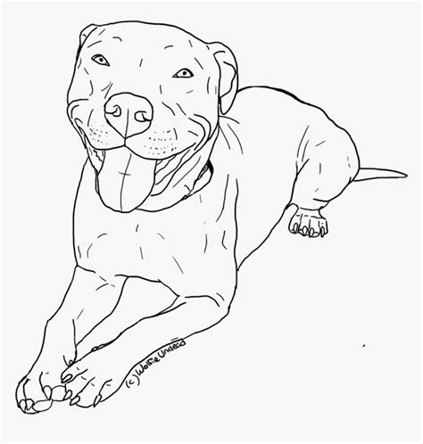 How To Draw A Pitbull Face Meyasity