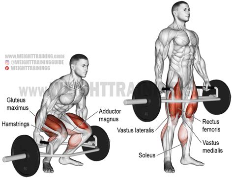Trap Bar Deadlift Exercise Instructions And Video Weight Training Guide