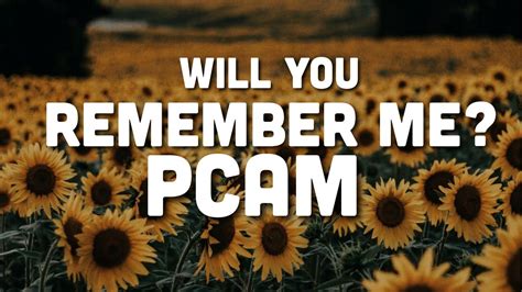 Pcam Will You Remember Me Lyrics Youtube