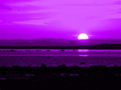 Purple Sunset